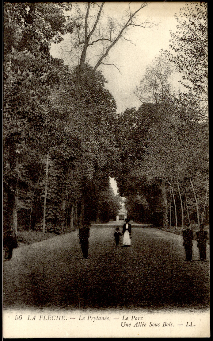 La Flèche - edit LL n°56 Le Prytanée - Le Parc Une Allée Sous Bois